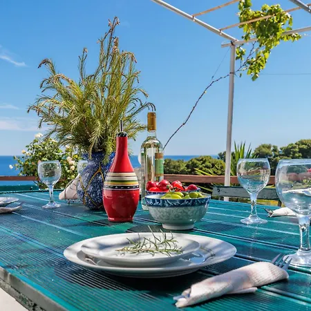 Anagennisis * Glossa