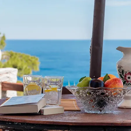 Anagennisis * Glossa